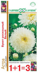 Астра Букет роскошный белый 0,5 г. (серия 1+1) однол. (Гавриш)
