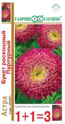 Астра Букет роскошный пурпурный0,5г. (серия 1+1) однол. (Гавриш)