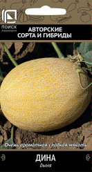 Дыня Дина 15шт. (Поиск)