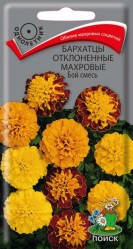 Бархатцы Бой смесь откл.махр. 0,4гр. (Поиск)