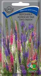Вероника колосистая Смесь окрасок многол. 0,1гр. (Поиск)