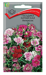 Гвоздика Китайская Империалис 0,3гр. (Поиск)