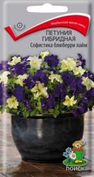 Петуния Софистика блюберри лайм. 5шт.гибр.(Поиск) .