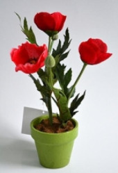 Маки в кашпо красные (PFH11162-4 BA469) 16-0057