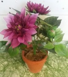 Хризантема в кашпо фиолетовый (PFH11111-7 BE305B) 16-0048