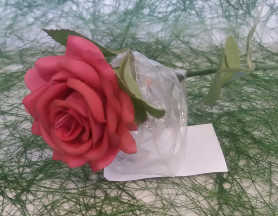 Роза одиночная бьюти, h=53 см (CH06900003-Beauty)