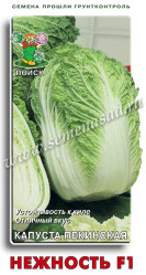 Капуста пекинская Нежность F1 0,1гр. (Поиск)