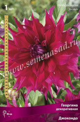 Георгина Джокондо (декор.) (1шт./уп.) (Солн.сад)