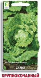 Салат Крупнокачанный 1гр. (Поиск)