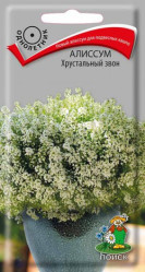 Алиссум Хрустальный звон 20шт одн. (Поиск)
