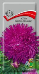 Астра Василиса прекрасная 0,3гр. (Поиск)