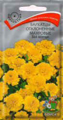 Бархатцы Бой жёлтые откл.махр. 0,4гр. (Поиск)