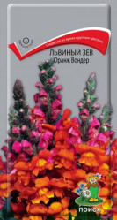 Львиный зев Оранж Вондер однол. 0,1гр. (Поиск)