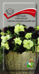 Петуния Софистика блекберри лайм грин 5шт.гибр.(Поиск)