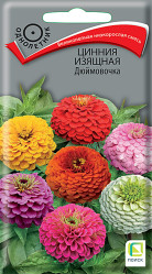Цинния изящная Дюймовочка 0,4гр однол. (Поиск)