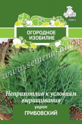 Укроп Грибовский 3гр. (Огород.изоб. Поиск)