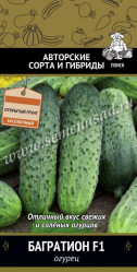 Огурцы Багратион F1 12шт. (авт.серия) (Поиск)