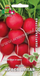 Редис Краса Алтая 3гр. сиб.серия (Поиск)