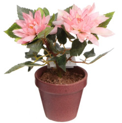 Хризантема в кашпо персиковый (PFH11111-7 BB460B) 16-0049