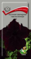 Петуния Софистика блекберри 5шт гибр.(Поиск)