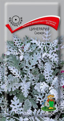 Цинерария Снежок однол. 0,1гр. (Поиск)