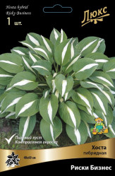 Хоста гибр. Риски Бизнес (1шт./уп.) (Солн.сад)