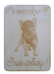 Табличка "Осторожно! Злая собака" 2 ФТ060420