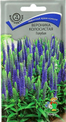 Вероника колосистая Голубая многол. 0,1гр. (Поиск)