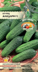 Огурцы Жандарм F1 0,25гр. (Е.С.)