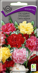 Гвоздика Гренадин Смесь окрасок двул. 0,25гр. (Поиск)
