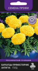 Однолетние цветы - Бархатцы Антигуа Голд прям. (Семена Профи) 15шт. (Поиск)