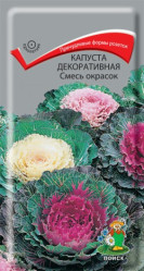 Капуста декоративная Смесь окрасок однол. 0,25гр. (Поиск)