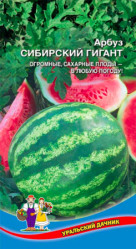 Арбуз Сибирский Гигант 10шт. (Урал. Дачник)