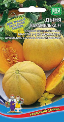 Дыня Карамелька F1 10шт (Урал. Дачник)