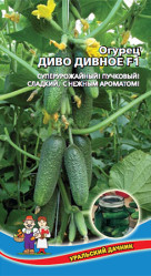Огурцы Диво дивное F1 10шт (Урал. Дачник)