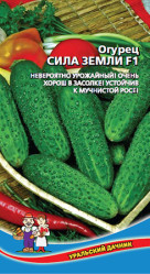 Огурцы Сила Земли F1 0,25г/12шт (Урал. Дачник)