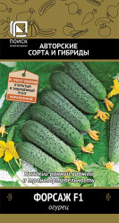Огурцы Форсаж F1 12шт автор (Поиск)