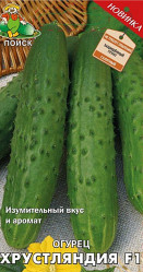 Огурцы Хрустляндия F1 12шт автор (Поиск)