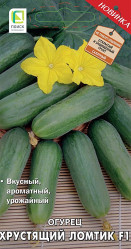 Огурцы Хрустящий ломтик F1 12шт автор (Поиск)