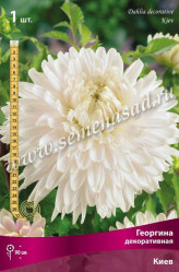 Георгина Киев декор. (1шт./уп.) (Солн.сад)