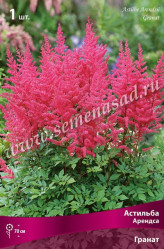 Астильба Арендса Гранат (роз.-крас) (1шт./уп.) (Солн.сад)