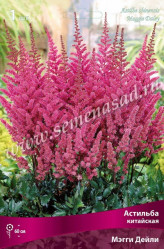 Астильба китайская Мэгги Дейли (1шт./уп.) (Солн.сад)