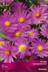 Астра кустарн. Аннеке (ярко-розов.) (1шт./уп.) (Солн.сад)