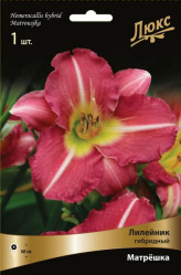 Лилейник гибр. Матрешка (1шт./уп.) (Солн.сад)