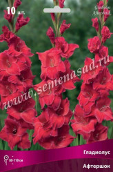 Гладиолус Афтершок 10-12/К (10шт./уп.) (Солн.сад)