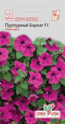 Сурфиния Пурпурный Бархат 5шт. (Сем Алт)