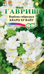 Вербена Кварц ХР Вайт, гибр. 5шт. Элит.клумба (Гавриш)