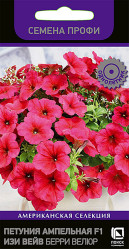 Петуния Изи Вейв Берри Велюр F1 5шт.амп.(Поиск)