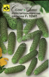 Огурцы Темп F1 10шт.(Семко)