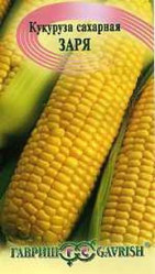 Кукуруза Заря 5г. (Гавриш)